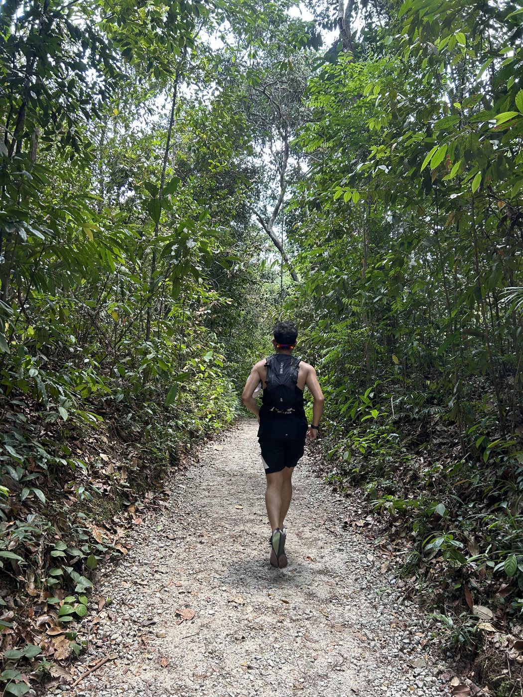 DJ TakeRun running a forest trail, seen from behind